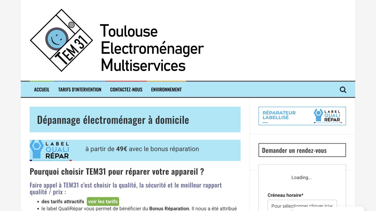 Capture du site de Toulouse Électroménager Multiservices — TEM31